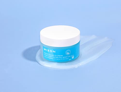 MIZON Water Volume EX Cream 3.38 fl oz 2-Pack | Hydrating Facial Moisturizer