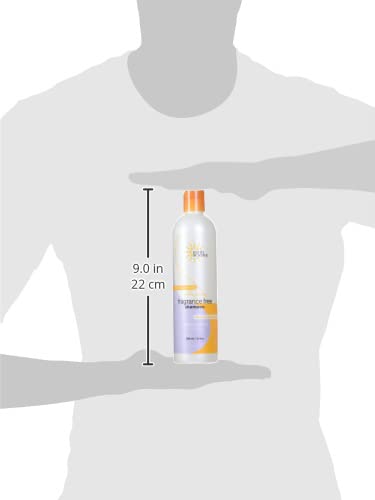 Fragrance-Free Shampoo for Sensitive Hair & Scalp - 12 oz Pack of 3