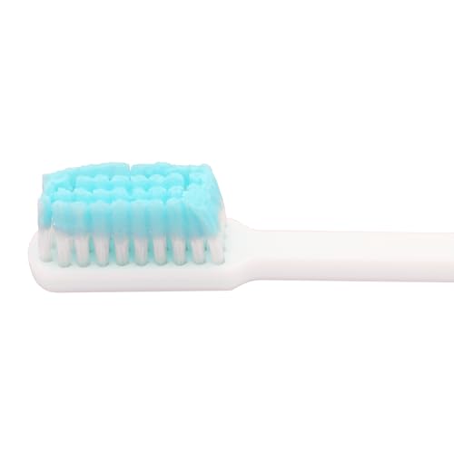 Prepasted Reusable Toothbrush 30 Pack - Mint Flavor, Made in USA, Airline Friendly