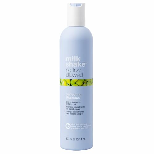 No Frizz Allowed Taming Shampoo for Frizzy Hair - 10.1 Oz