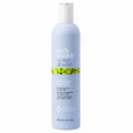 No Frizz Allowed Taming Shampoo for Frizzy Hair - 10.1 Oz