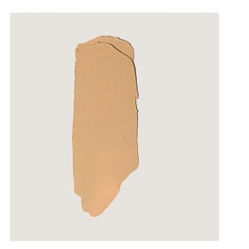 MERIT The Minimalist Perfecting Complexion Foundation and Concealer Stick Camel