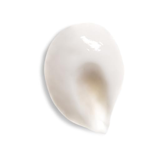 Day Gel Cream Moisturizer with Wild Rose Oil - Dewy, Lightweight Hydrating Face Gel