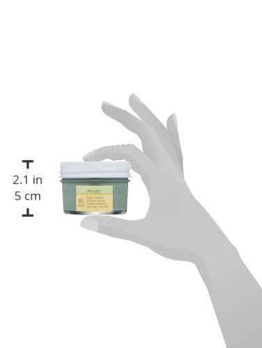 Avocado Hydrating Face Mask with Pomegranate & Green Tea - 3.2 Fl Oz - FarmHouse Fresh