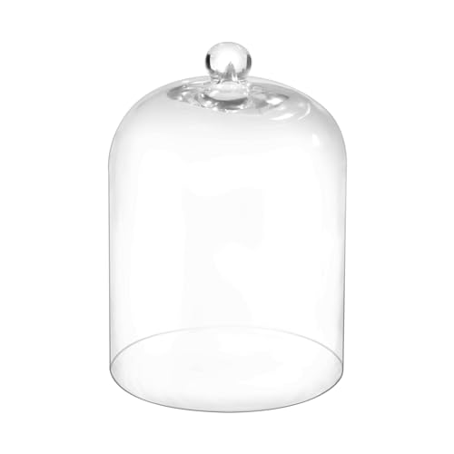 14-Inch Handmade Glass Cloche Dome - Thick & Sturdy for Plants, Trinkets, Cakes, LED Lights, Candle - Variation 10"x14"