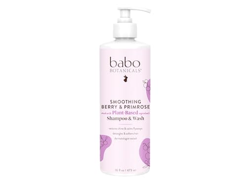 Babo Botanicals Smoothing Berry 2-in-1 Shampoo & Wash 16 Fl Oz - Detangling & Frizz Control - Vegan Hair Care for All Ages