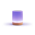 Long Distance WiFi Touch Friendship Lamp - Single - Stay Connected with Loved Ones