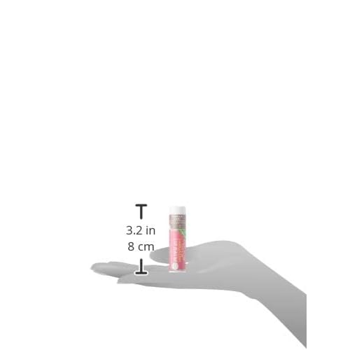 Soothing Touch Lip Balm - Vegan Vanilla Chai - Case of 12-0.25 oz