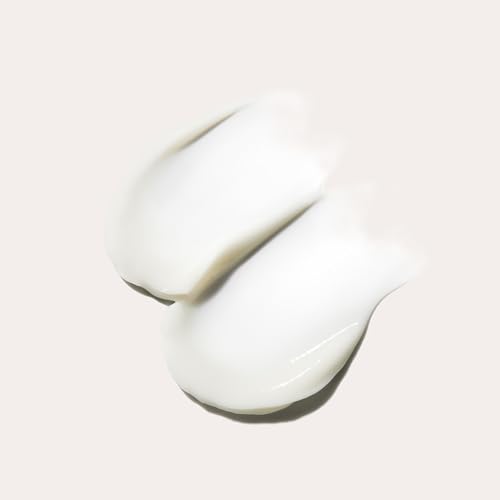 VASANTI Brighten Up New Skin Amplifying Moisturizer - Enriched with Aloe, Vitamin C, and Arbutin from Bearberry Leaves - Hydrates Moisturize Softens Brightens Skin - Full Size (2.03 fl. oz.)