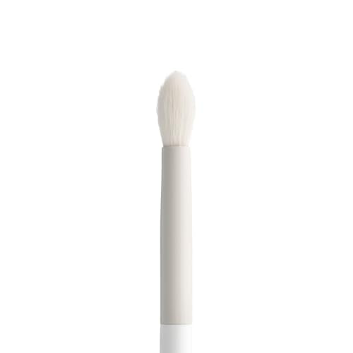 Wayne Goss Luna Brush Medium Crease #5 Amazon Exclusive