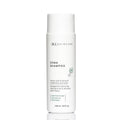 Dandruff Control Shampoo with Zinc Pyrithione for Dry Scalp - 8 fl oz