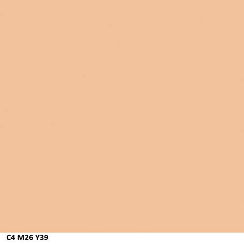 COVERGIRL Ready Set Gorgeous Fresh Complexion Concealer Medium (215/220), .37 oz (packaging may vary) (Pack of 2)