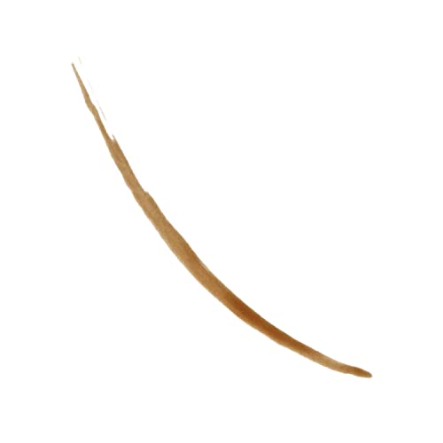 Revlon ColorStay 5-in-1 Semi-Permanent Brow Ink with Spoolie Brush, Waterproof, Transfer-Proof, Eyebrow Makeup, Easy to Remove, 350 Blonde Ink, 0.09 fl oz