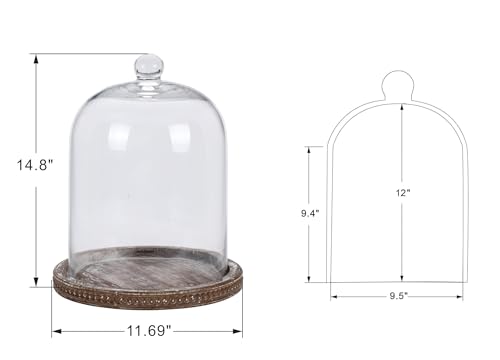 14-Inch Brown Beaded Wooden Base Glass Cloche - Farmhouse & Cottage Style Display