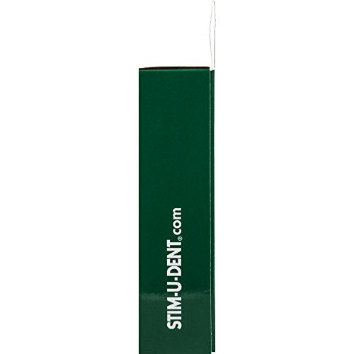 Plaque Removers Wooden Interdental Picks Mint Flavored 200 Count Box - Pack of 6