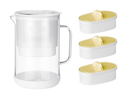 10-Cup Glass Water Filter Pitcher with 3 Replaceable NSF Certified Filters