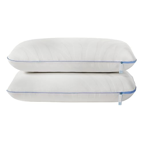 2 Pack Queen Size Memory Foam Cooling Pillows with Surface Guard Tech