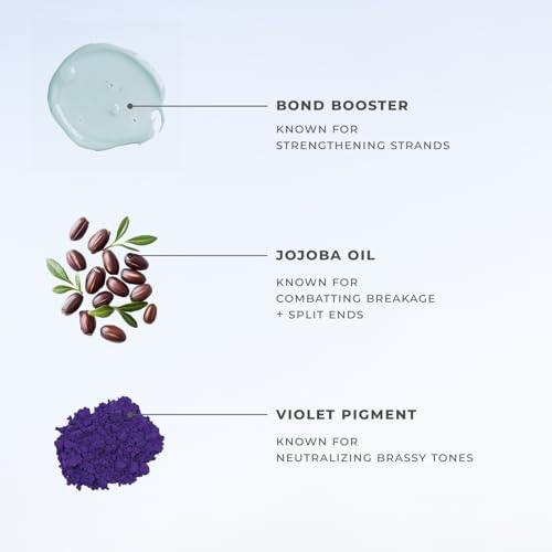 XMONDO Supernova Blonde Toning Conditioner 8 Fl Oz – Vegan, With Jojoba Oil & Vegetable Proteins, Violet Pigments (Pack of 1)