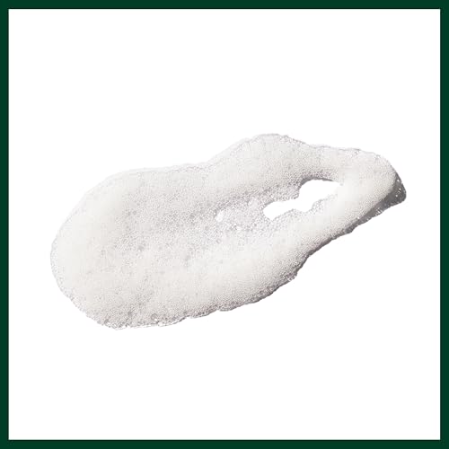Aveda Outer Peace Foaming Cleanser for Acne-Prone Skin | Daily Face Wash 4.2 fl oz