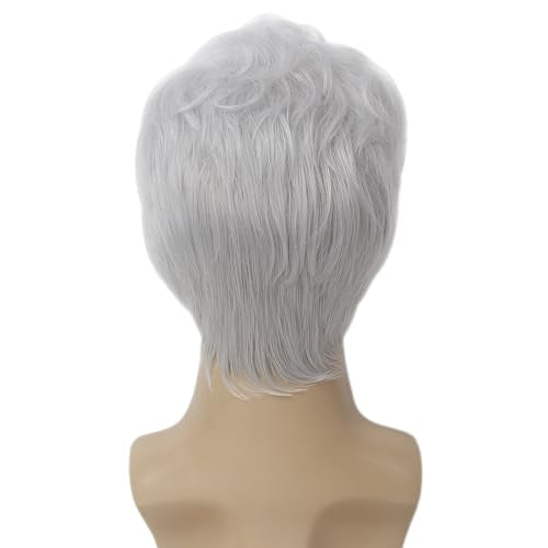 STfantasy Grey White Short Men's Wig with Sunglasses & Beard for Old Man Costume Halloween Cosplay 12 Inch