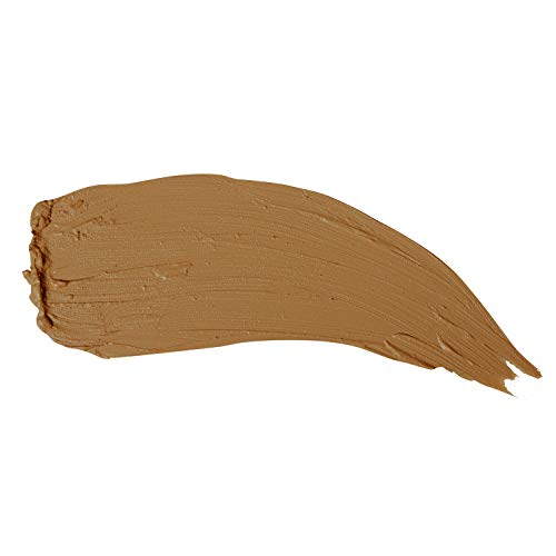 P?R MINERALS 4-in-1 Foundation Stick in Golden Tan , 0.3 Oz (Pack of 1)