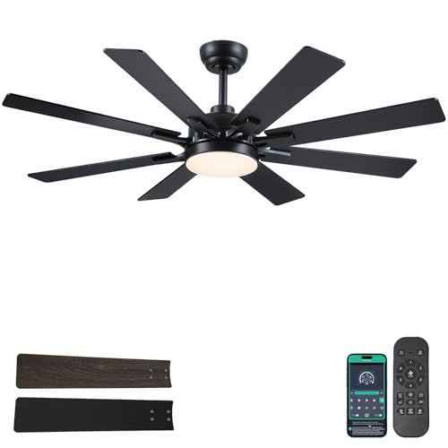 52-Inch Indoor Outdoor Ceiling Fan with Lights - Black, Remote & App Control