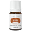 Young Living Ginger Vitality Essential Oil 5ml - Spicy Flavor Enhancer for Sweet and Savory Dishes - Digestive System Support - Culinary Aromatherapy for Cooking