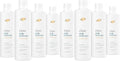 Dove Moisturizing Shampoo for Dry Hair 12 oz Pack of 8 - Daily Hydrating & Nourishing