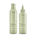 Aveda Pure Abundance Volumizing Shampoo & Conditioner Set for Fine Hair