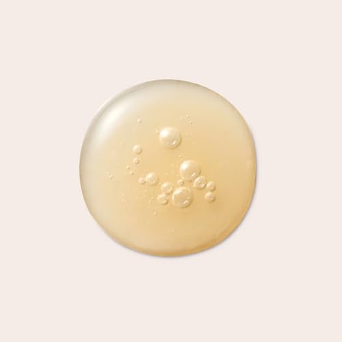 KAINE Kombu Barrier Ampoule | Moisturizing Serum with 73% Fermented Kombucha, 5% Panthenol, and Ceramide for Hydration and Skin Barrier Care, Korean Skin Care, 30mL/1.01 fl oz