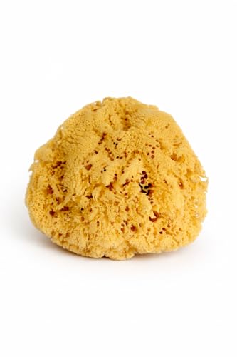 Natural Sea Sponge for Men - Extra Large 6-7 Inch Exfoliating Shower Sponge