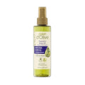 d'Olive Dalan Olive Oil Body Oil