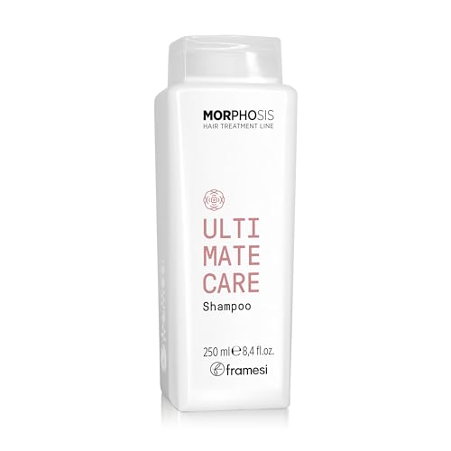 Hydrating Anti-Frizz Shampoo for Frizzy Hair - Sulfate Free, Color Safe, 8.4 Fl Oz