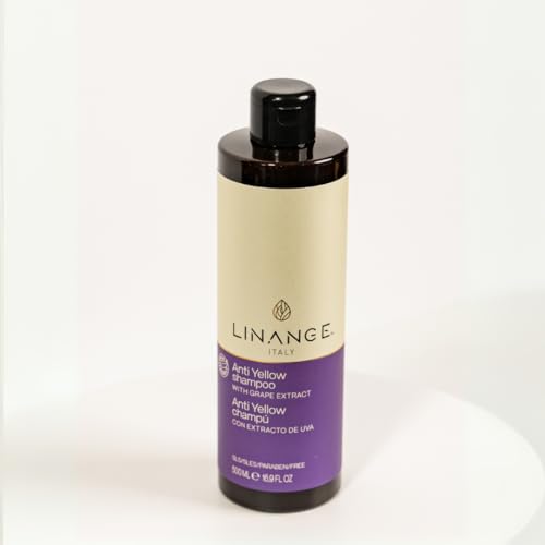 Anti-Yellow Blonde Hair Shampoo with Grape Extract & Violet Pigment - 16.9 oz - Pack of 1