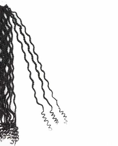 8 Packs Senegalese Twist Crochet Hair - 24 Inch Kinky Synthetic Braids with Curly Ends, Pre Looped for Black Women - Variation of 2 / 24 Inch