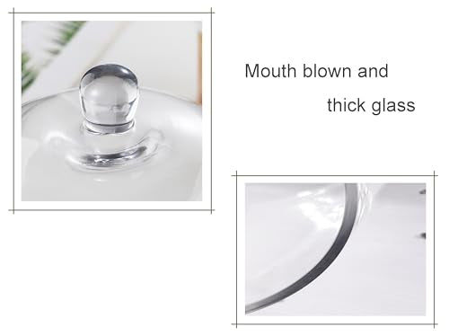 14-Inch Handmade Glass Cloche Dome - Thick & Sturdy for Plants, Trinkets, Cakes, LED Lights, Candle - Variation 10"x14"