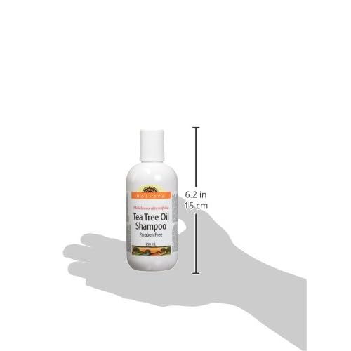 Holista Tea Tree Oil Shampoo