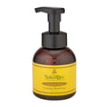 The Naked Bee Coconut & Honey Foam Hand Soap (12 oz) Mild Cleanser