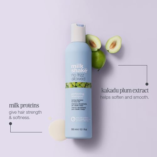 No Frizz Allowed Taming Shampoo for Frizzy Hair - 10.1 Oz