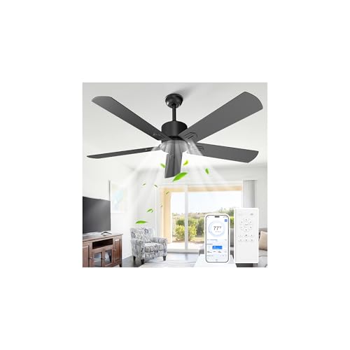 Obabala 52-Inch Black Outdoor Ceiling Fan No Light with Remote, 6-Speed Reversible DC Motor