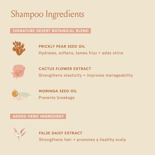 Signature Shampoo Jumbo - Sulfate-Free, Hydrating Hair Cleanser