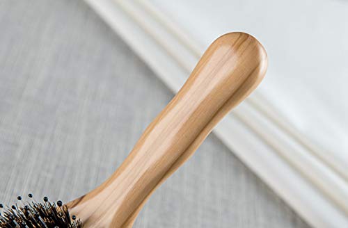 Olive Wood Wild Boar Bristle Hairbrush for Styling & Detangling, Gift Box Included