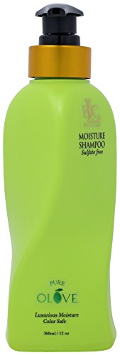 Moisturizing Sulfate-Free Shampoo for Dry & Color-Treated Hair - 12oz
