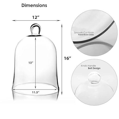 Glass Bell Dome Cloche - Hand-Blown Crystal Cover for Display & Decor - H16 W12 Variation