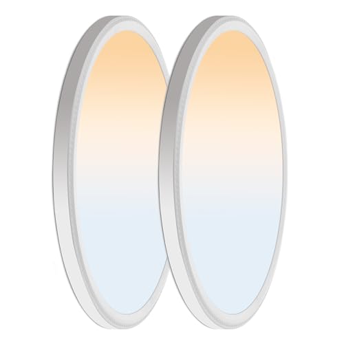 White 20-Inch Dimmable LED Flush Mount Ceiling Light with 5 Color Temperatures - 2 Pack