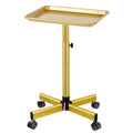 Salon Tray on Wheels, Gold Salon Rolling Tray with Adjustable Height, Hair Stylist Tray, Metal Service Instrument Storage Tray for Salon&Home Use, Suitable for Tattoo Tray and Dental Tray
