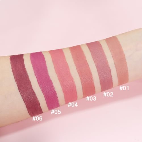 6 Pcs Nude Pink Brown Rose Red Purple Matte Lipstick Set for Women Long Lasting Waterproof Moisturizing Lipsticks for Older Women 24 Hours Lip Stick Lip Stain Makeup Gift Kit,Lip Makeup Vegan
