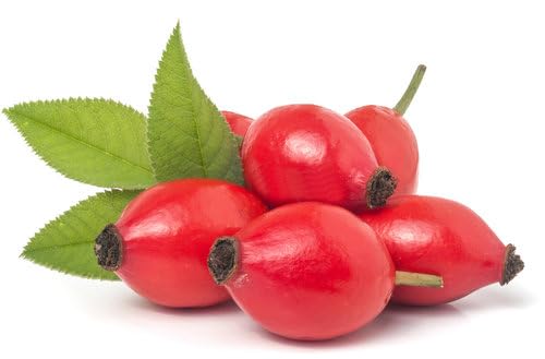 Organic Rosehip Seed Oil for Skin & Hair - 4 oz Cold Pressed