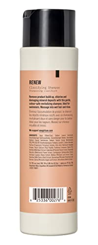 AG Care Renew Clarifying Shampoo - New Collection - Sulfate-Free, Gently Cleanses, Removes Buildup, 10 Fl Oz