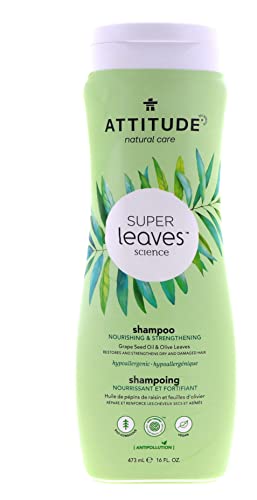 BIO SPECTRA Attitude Natural Nourishing & Strengthening Shampoo 16oz (Pack of 2)